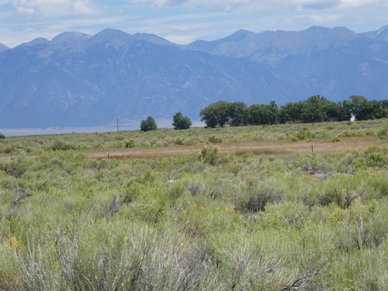 40 Acres with Spring in Saguache Co : Center : Saguache County : Colorado