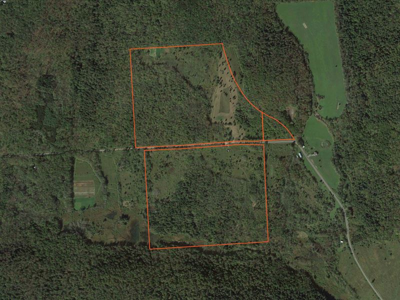 Diverse Recreational Lot, A Home : Georgetown : Madison County : New York