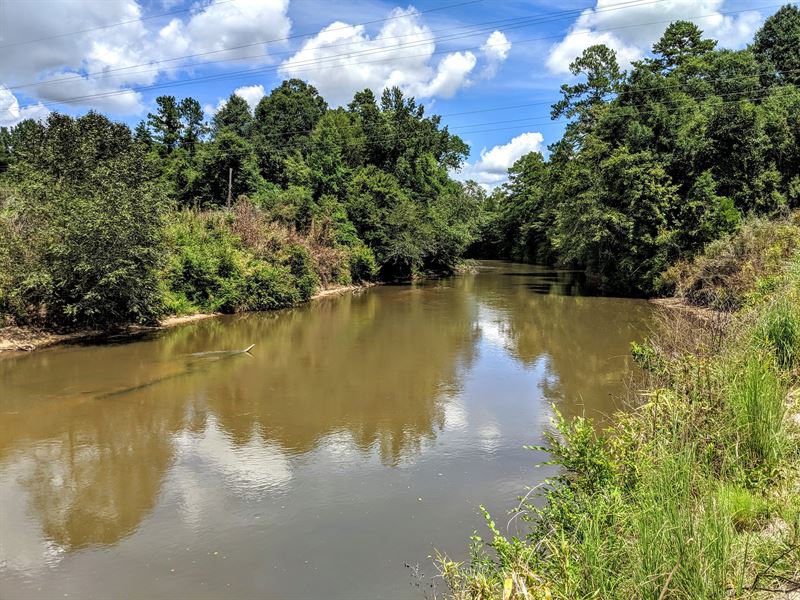 Choctawhatchee Bluffs River Hunting : Newton : Dale County : Alabama