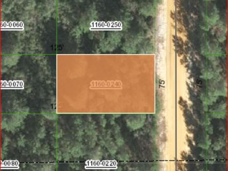 .22 Acres for Sale in Putnam County : Interlachen : Putnam County : Florida