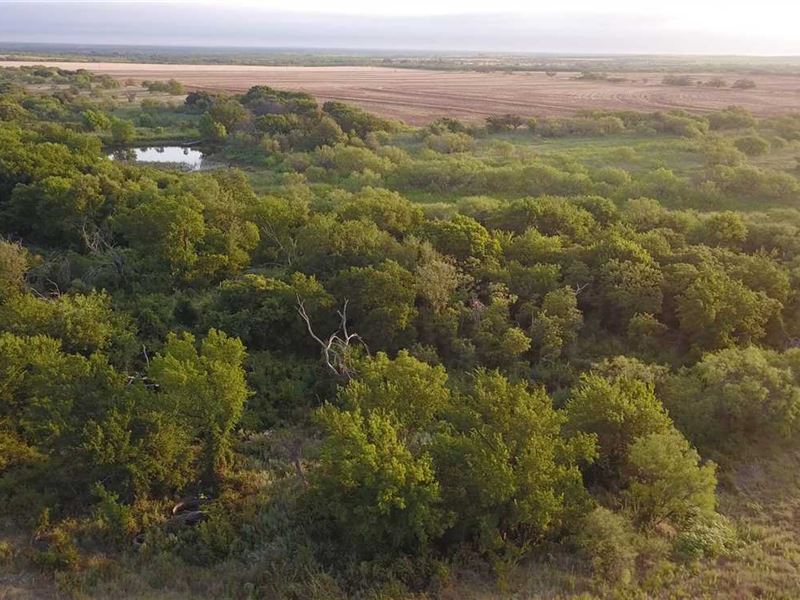 The Perfect Little Ranch, 80 Acres Land for Sale in Megargel, Archer