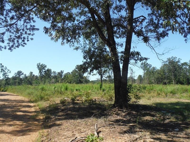30 Acres M/L Vacant Land : Doniphan : Ripley County : Missouri