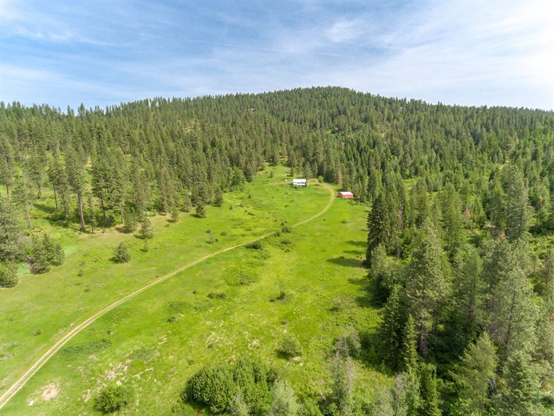 Home With Acreage in North Idaho Land for Sale in Worley, Kootenai
