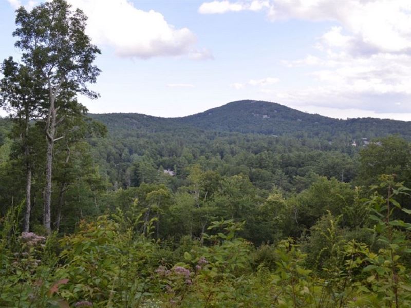 27 Mountain Parcels : Highlands : Macon County : North Carolina