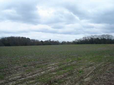Seller Says Make Me An Offer : Hawkinsville : Pulaski County : Georgia