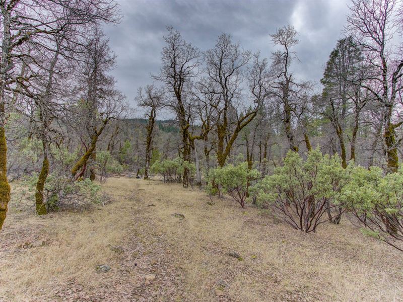 Drive Up in Your RV and Move In : Oak Run : Shasta County : California