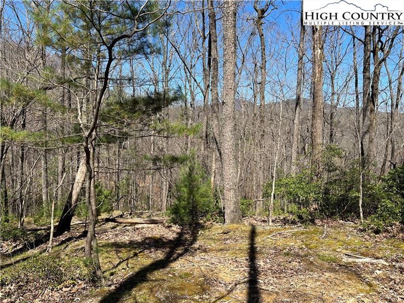 7.8 Acres Lot 208-R Bauers Lane : Deep Gap : Watauga County : North Carolina