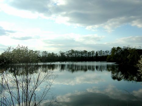 1500 Ft Paved Road Front w/7Ac Pond : Hawkinsville : Pulaski County : Georgia