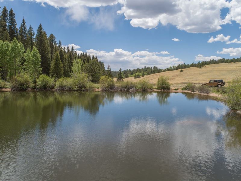 Willowstone Springs Land for Sale in Divide, Teller County, Colorado