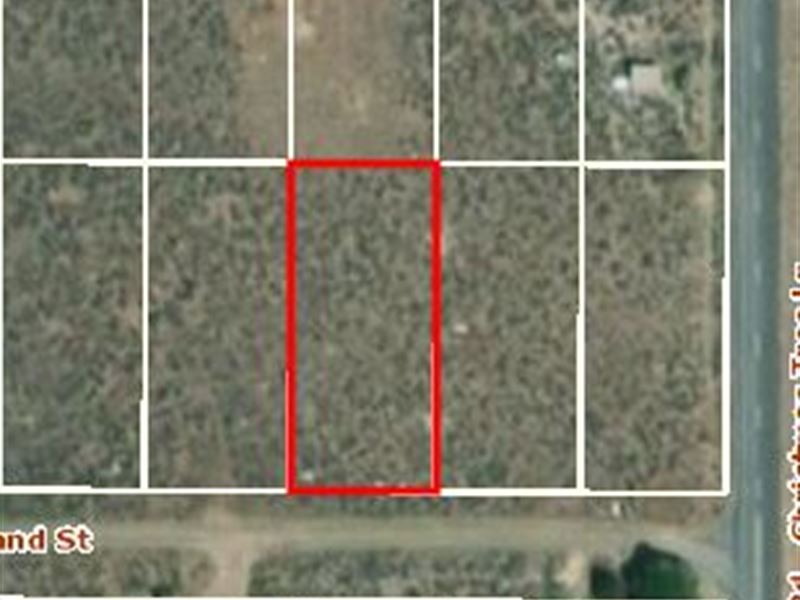 .33 Acres in Lake County Or : Christmas Valley : Lake County : Oregon