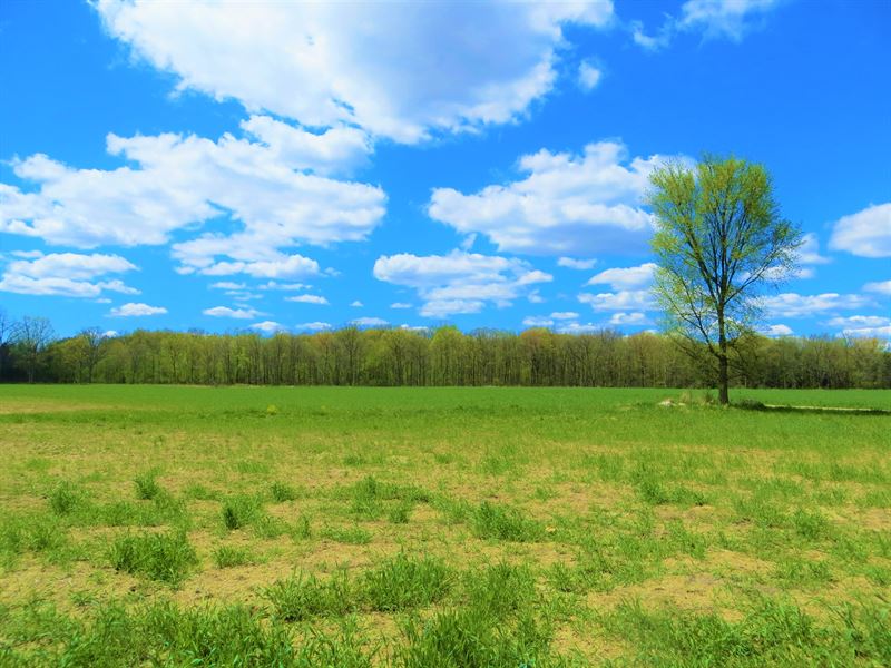 Dexter Vacant Land, Estate Size : Dexter : Washtenaw County : Michigan