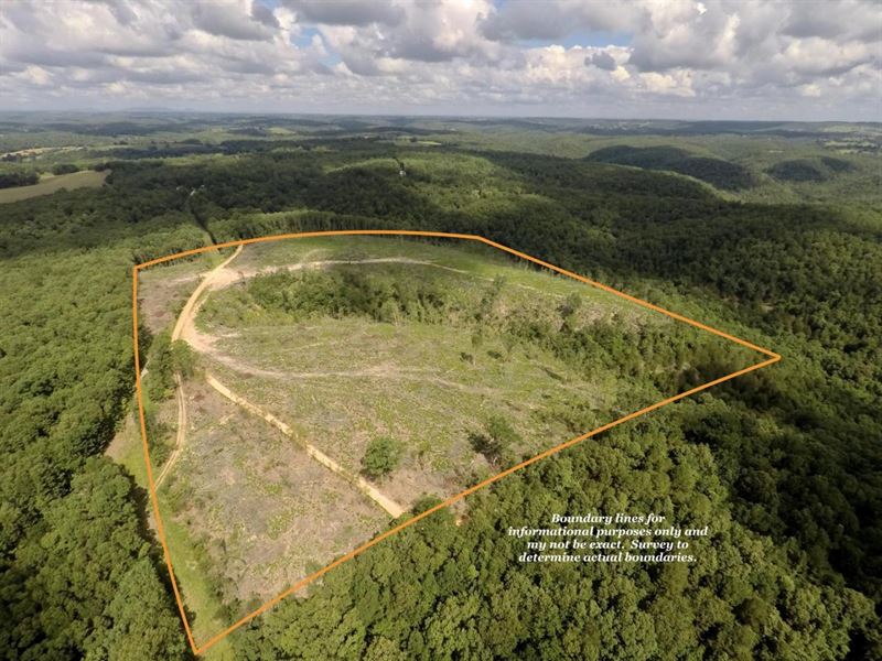 40 Acres Marion County : Saint Joe : Marion County : Arkansas