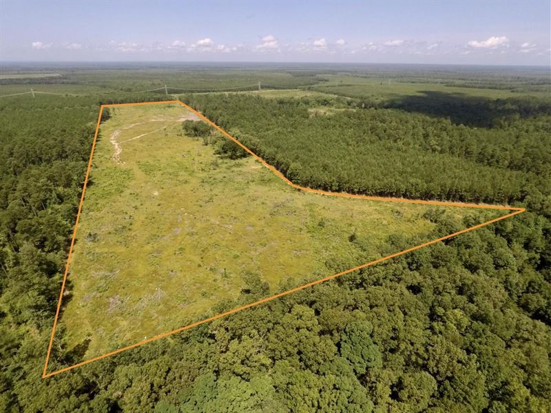 41 Acres Calhoun Co, Hampton : Hampton : Calhoun County : Arkansas
