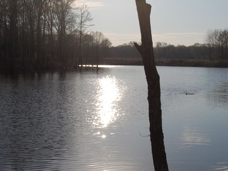 Lots Off TN River Lake Savannah : Savannah : Hardin County : Tennessee