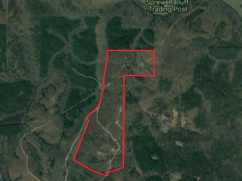 Cheap Land In Talbot County Ga Land for Sale in Woodland, Talbot