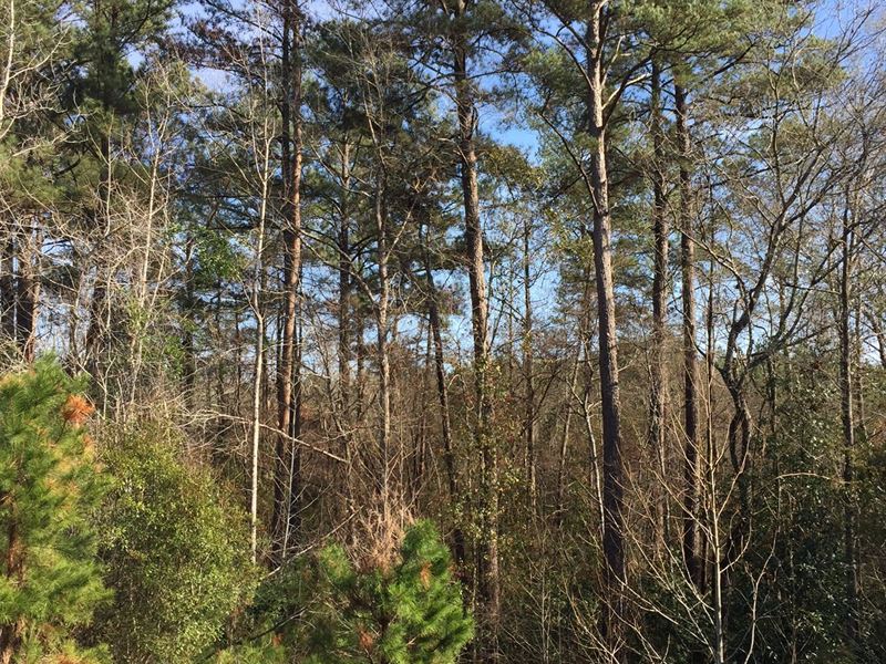 Recreation Or Home Tract Elba : Elba : Coffee County : Alabama