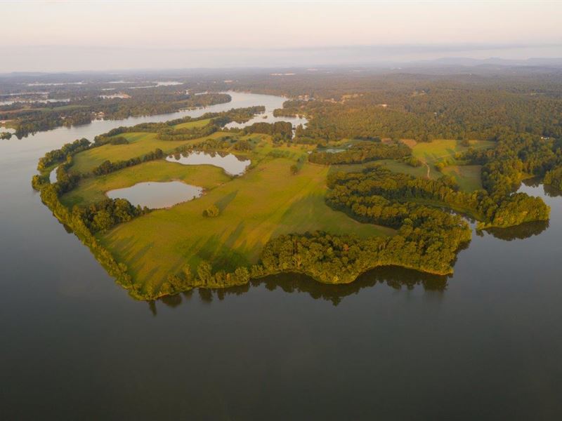 Lake Front Farm : Riverside : Saint Clair County : Alabama