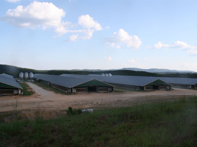 4 Mega House Poultry Farm, 35 Ac : Heflin : Cleburne County : Alabama