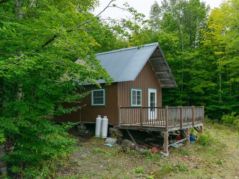 Affordable Hunting Camp in Maine : Lakeville : Penobscot County : Maine