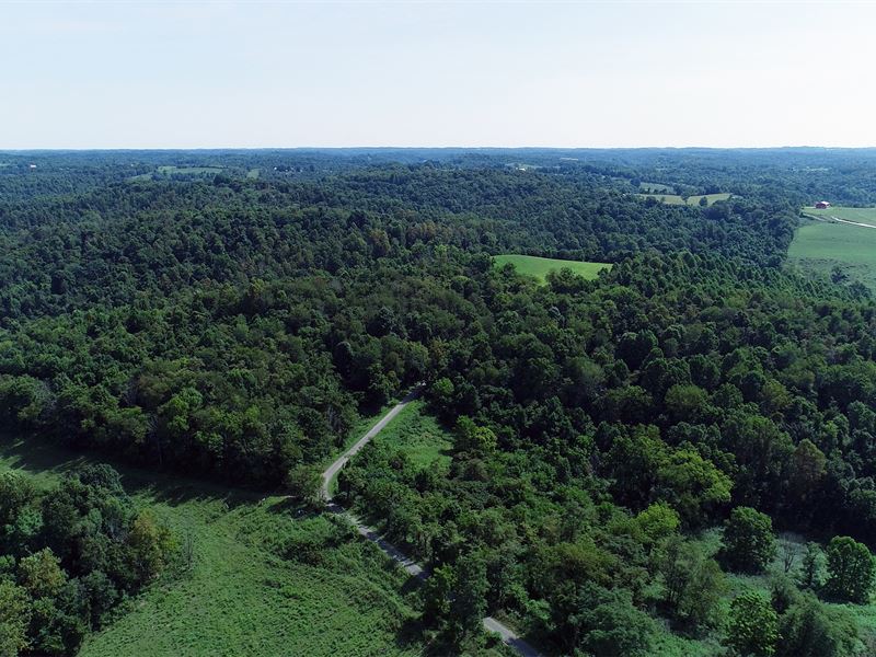 Land Auction in Noble Co, Ohio : Caldwell : Noble County : Ohio