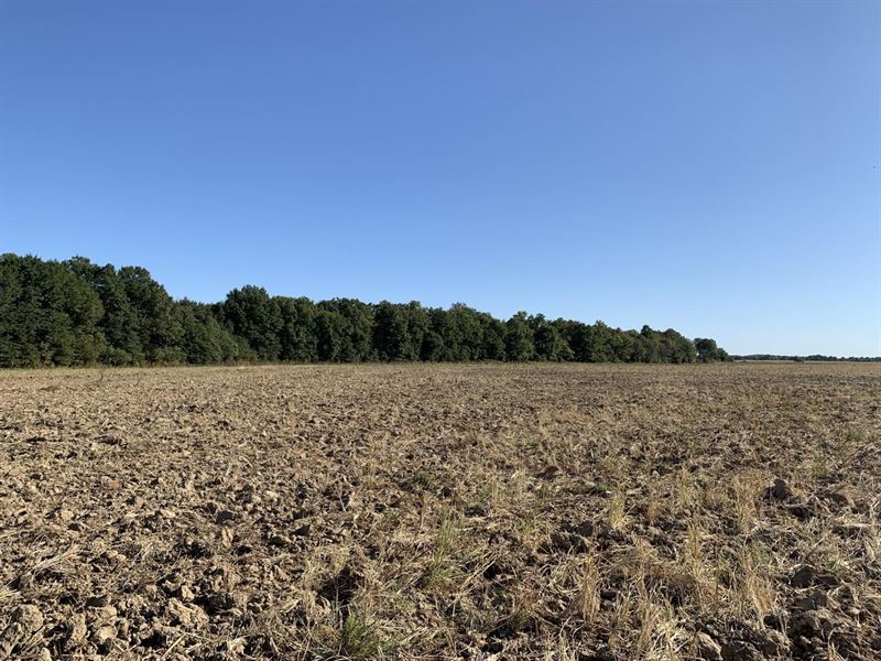 May Branch Farm : Beedeville : Jackson County : Arkansas