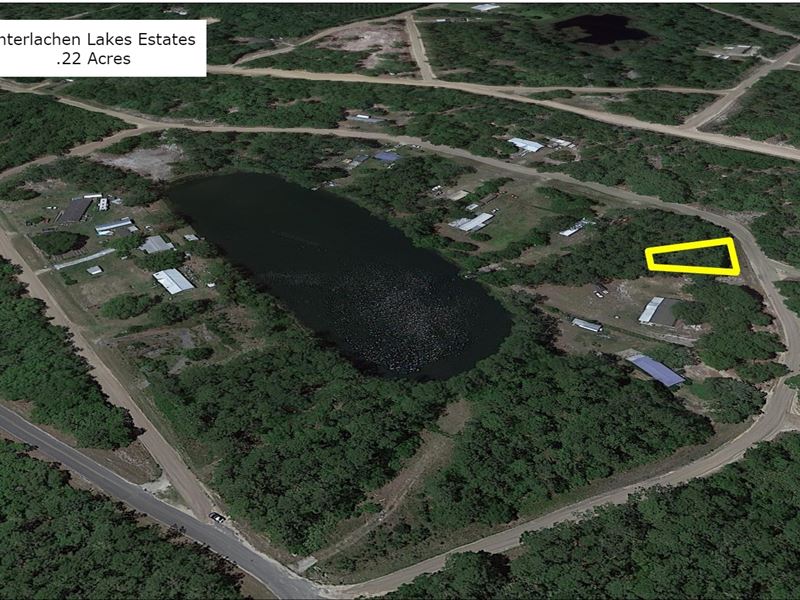 .22 Acre Lake and Fishing Community : Interlachen : Putnam County : Florida