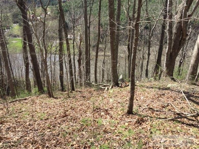 Wooded Lot with New River View : Piney Creek : Alleghany County : North Carolina