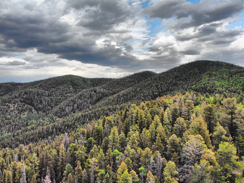 6.5 Acres High Altitude with Trees : Fort Garland : Costilla County : Colorado