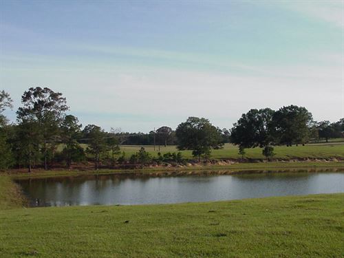 Beautiful Land With Pond In Grady : Grady : Montgomery County : Alabama