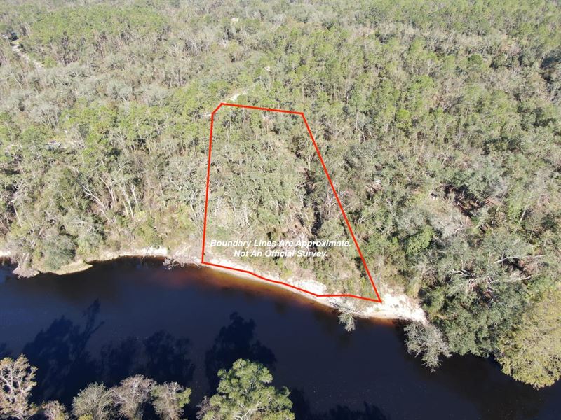 Gorgeous One Acre Lot On The Withla : Lee : Madison County : Florida