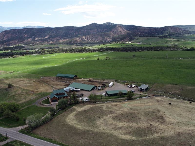 Colorado Cattle Horse Ranch Hay : Collbran : Mesa County : Colorado