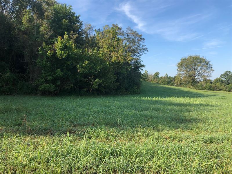 .56 Acres Unrestricted Land : Whitesburg : Hawkins County : Tennessee