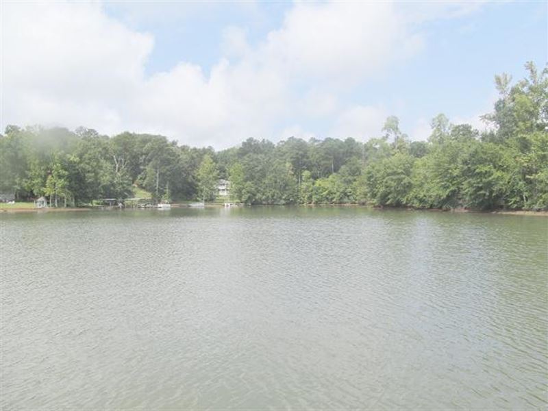 Gorgeous Lake Lots Tallapoosa : Alexander City : Tallapoosa County : Alabama