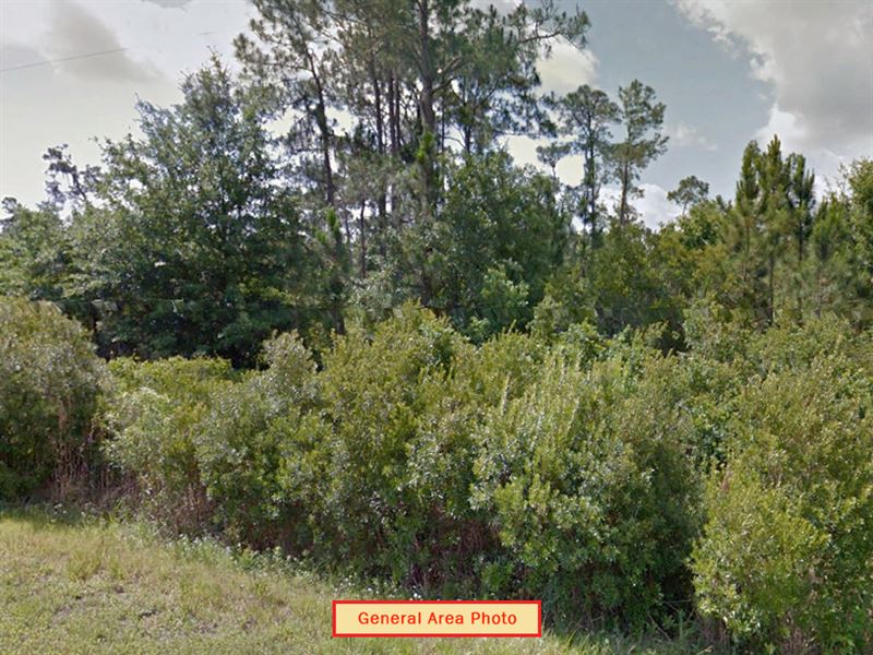 Avon Park Retreat : Avon Park : Highlands County : Florida