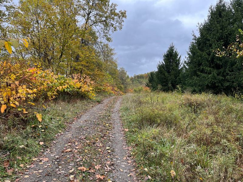 226 Acres Skyline Drive : Saltsburg : Indiana County : Pennsylvania