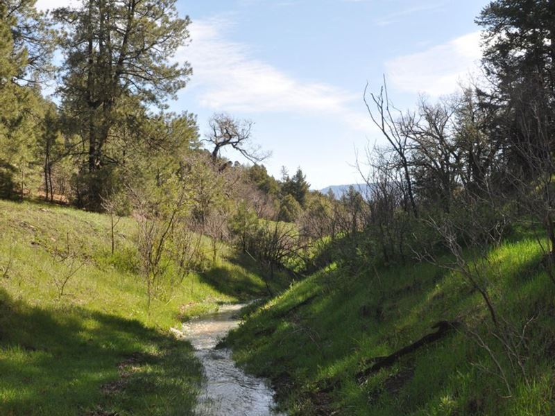 H5 Santa Fe Trail Ranch : Trinidad : Las Animas County : Colorado
