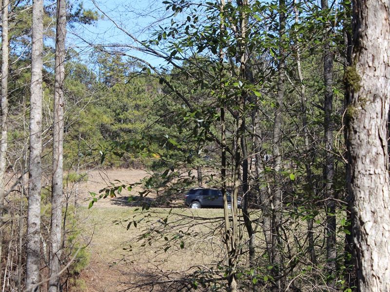 New Photos Wooded Land Autauga CO : Prattville : Autauga County : Alabama