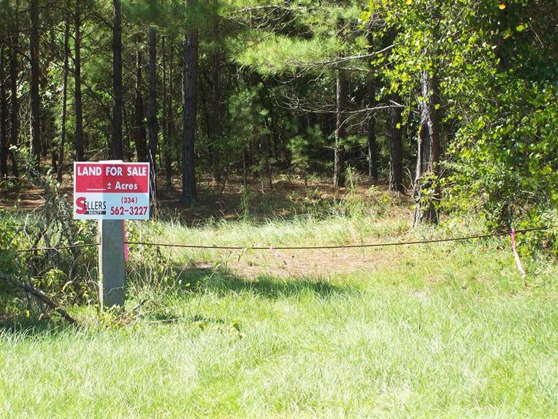 Forest Home Tract Road Frontage : Forest Home : Butler County : Alabama