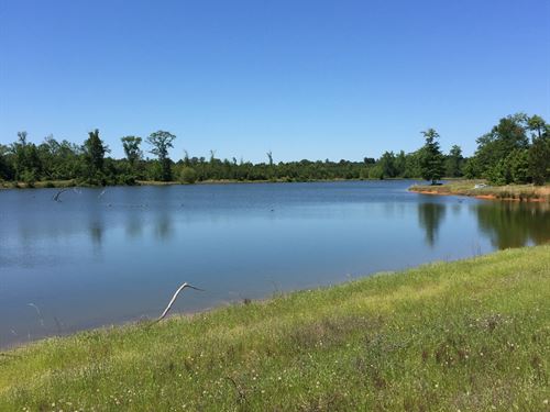 112 Acres with Pond : Grady : Montgomery County : Alabama
