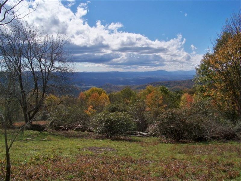 Long Range Views in The Blue Ridge : Independence : Grayson County : Virginia