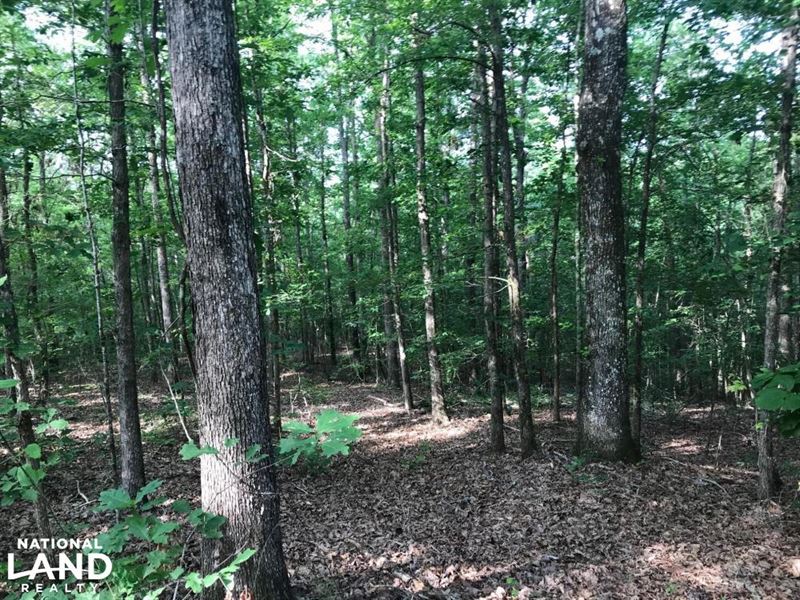 Brown Road Homesite, Hunting-Recrea : Northport : Tuscaloosa County : Alabama