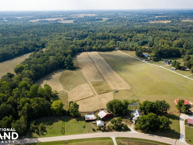 102 Acre Cattle Farm with Timber : Salisbury : Rowan County : North Carolina