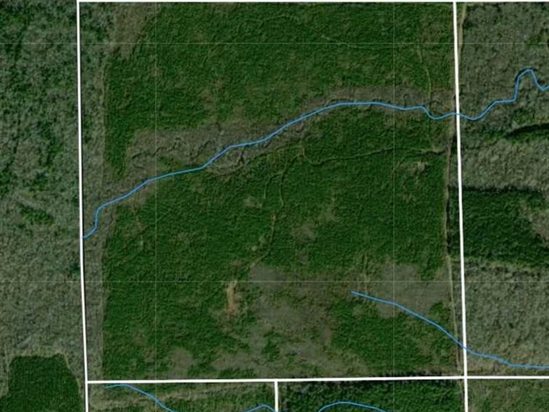 Timberland, 160 Acres in Clay Coun : Pheba : Clay County : Mississippi