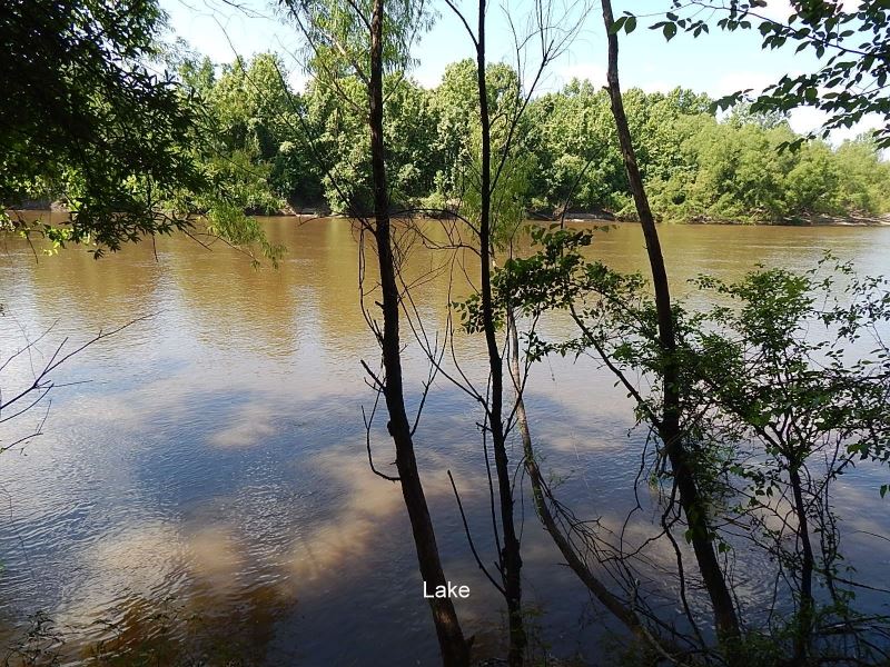 410 Acres / Riverfront / Hamp : Crossroads : Pearl River County : Mississippi