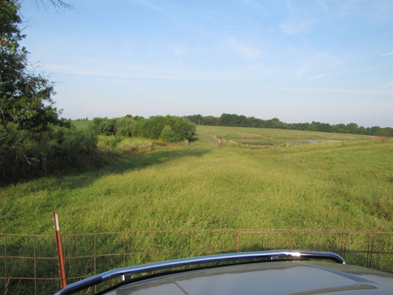 Northern MO Pasture Land for Sale : Arbela : Scotland County : Missouri