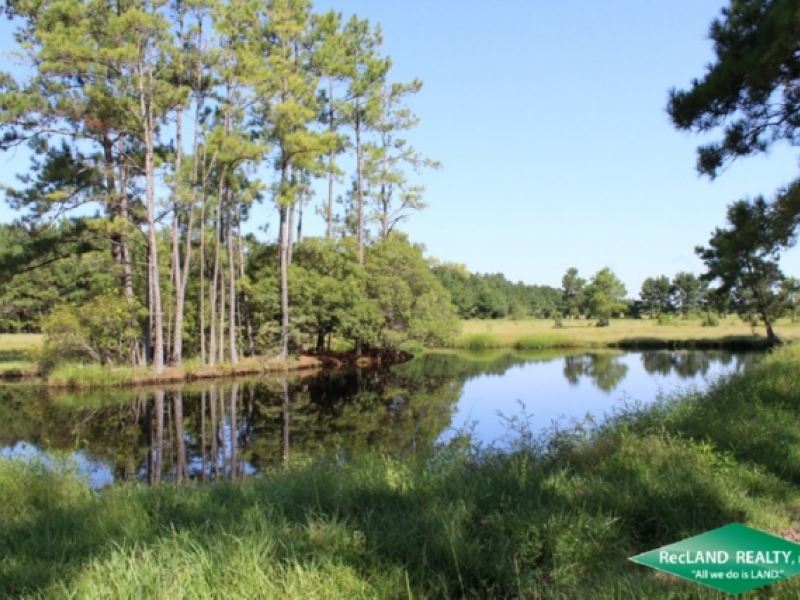 150 Ac, Ranch & Home : Silsbee : Hardin County : Texas