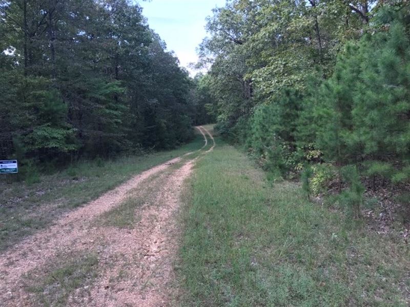 3 Wooded Acres Close to National : Fifty-Six : Stone County : Arkansas