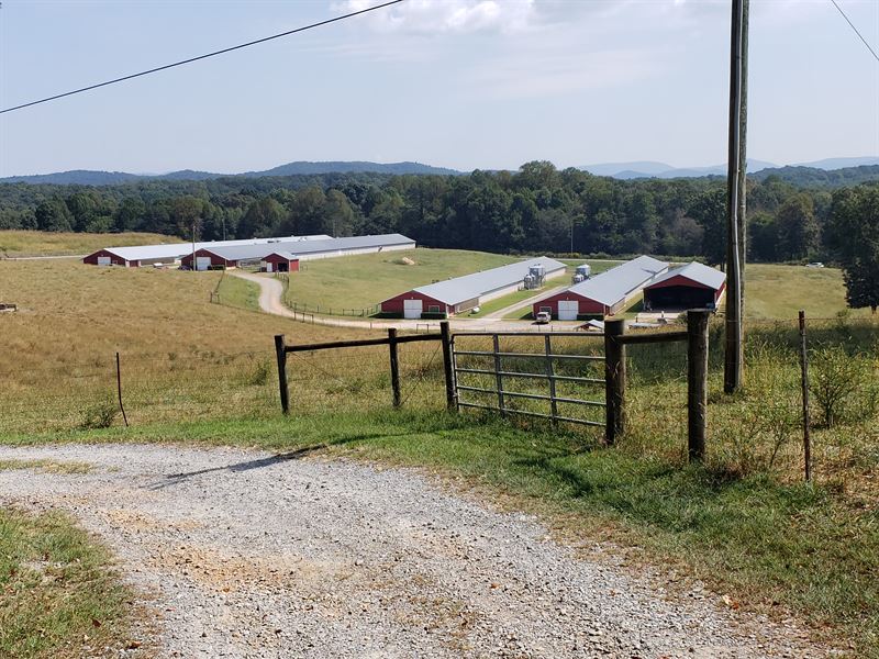 4 House Poultry Breeder Farm : Ellijay : Gilmer County : Georgia