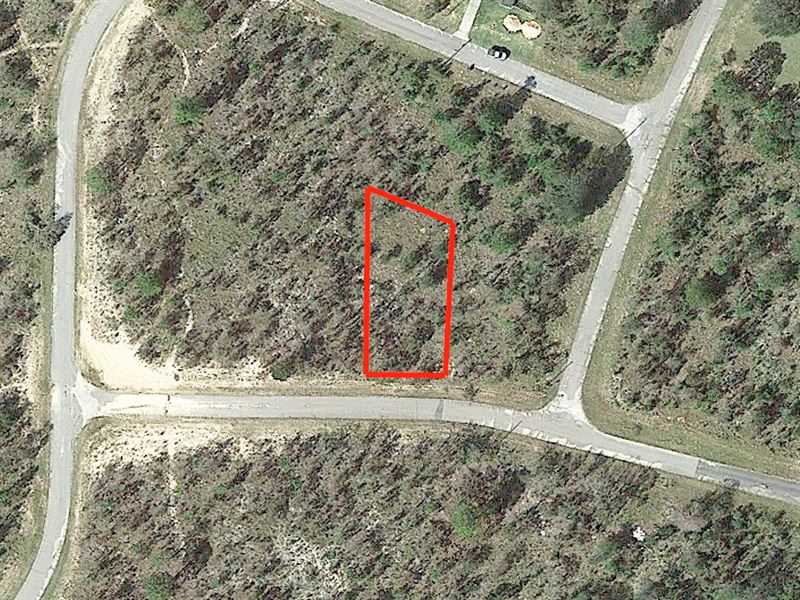 .29 Acre Lot Outside Sunny Hills Land for Sale by Owner in Chipley