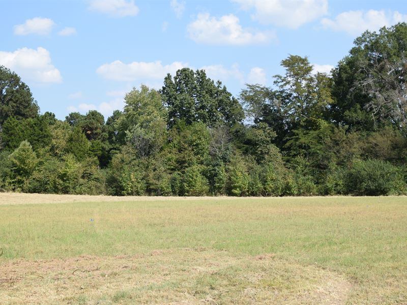 Beautiful Home Site, Bells, TN : Bells : Crockett County : Tennessee